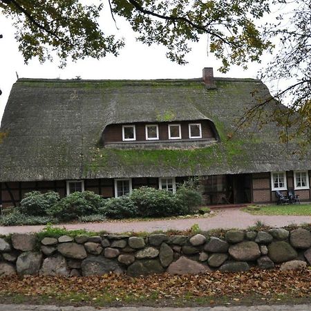 Reit- Und Bauernhof Klaucke Lejlighed Trebel Eksteriør billede